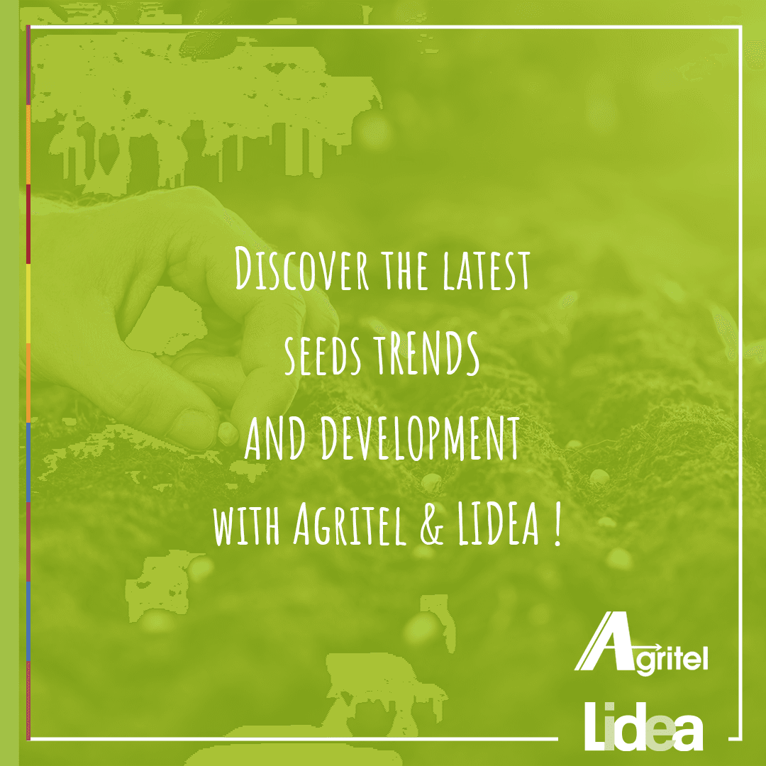 Lidea