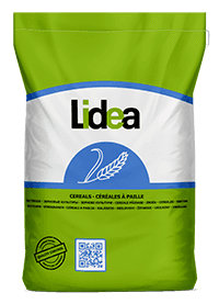 Triticale Lidea