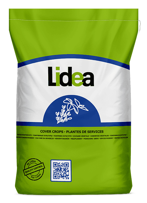 Лидеа. Lidea Seeds. Lidea Seeds vector. Семена Lidea цена.