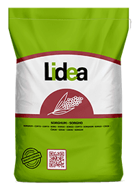 Sorghum Lidea bag