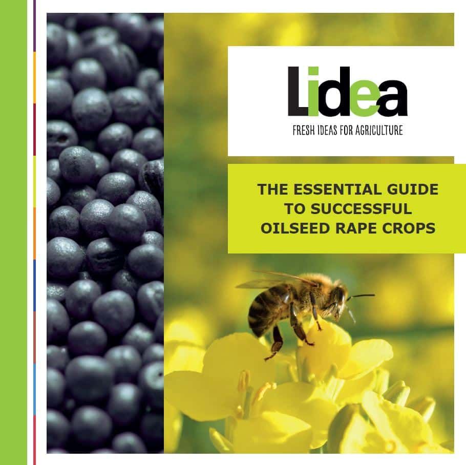 The essential guide for successful oilseed rape crops