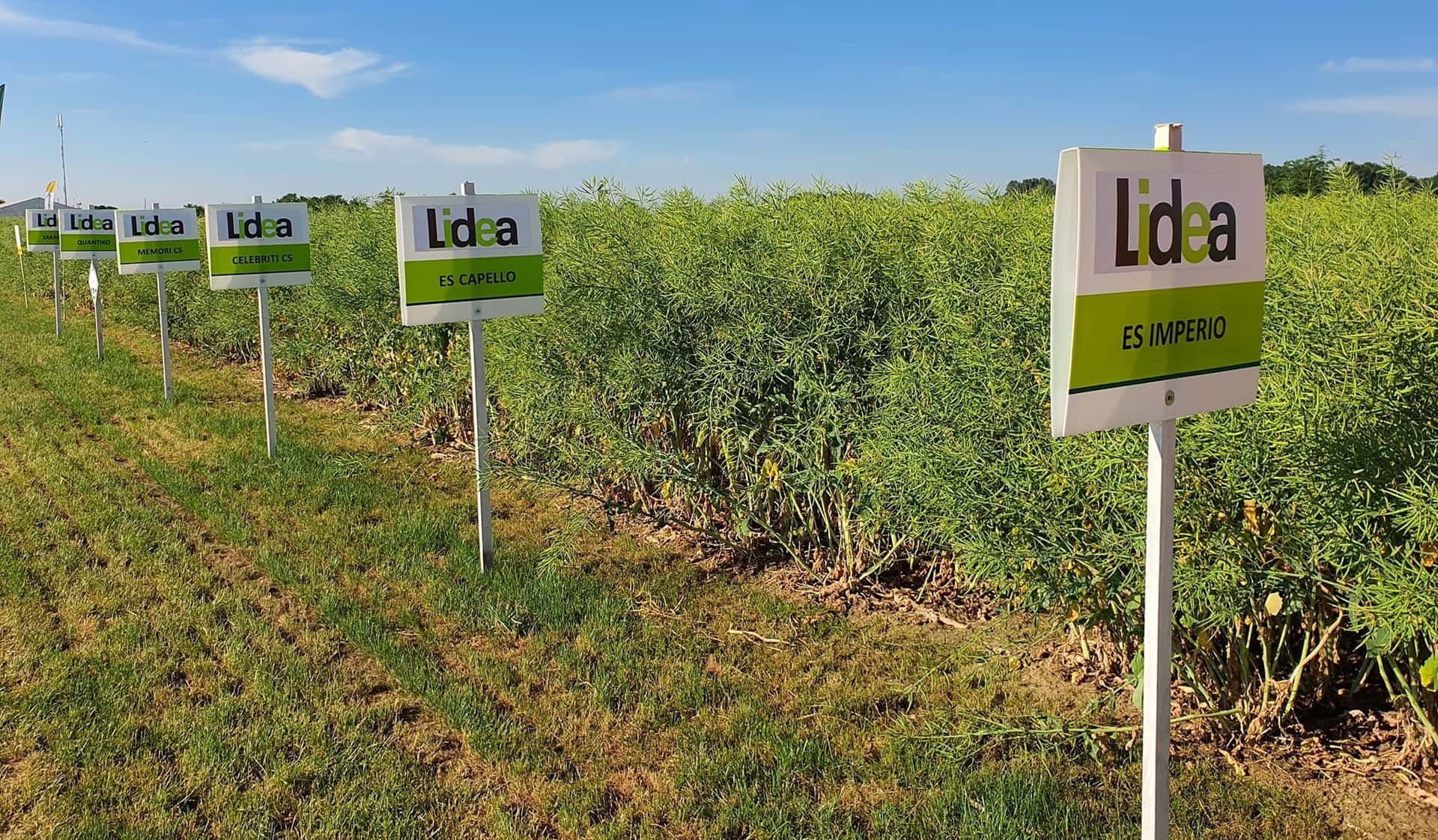 The latest seeds trends with Agritel & Lidea