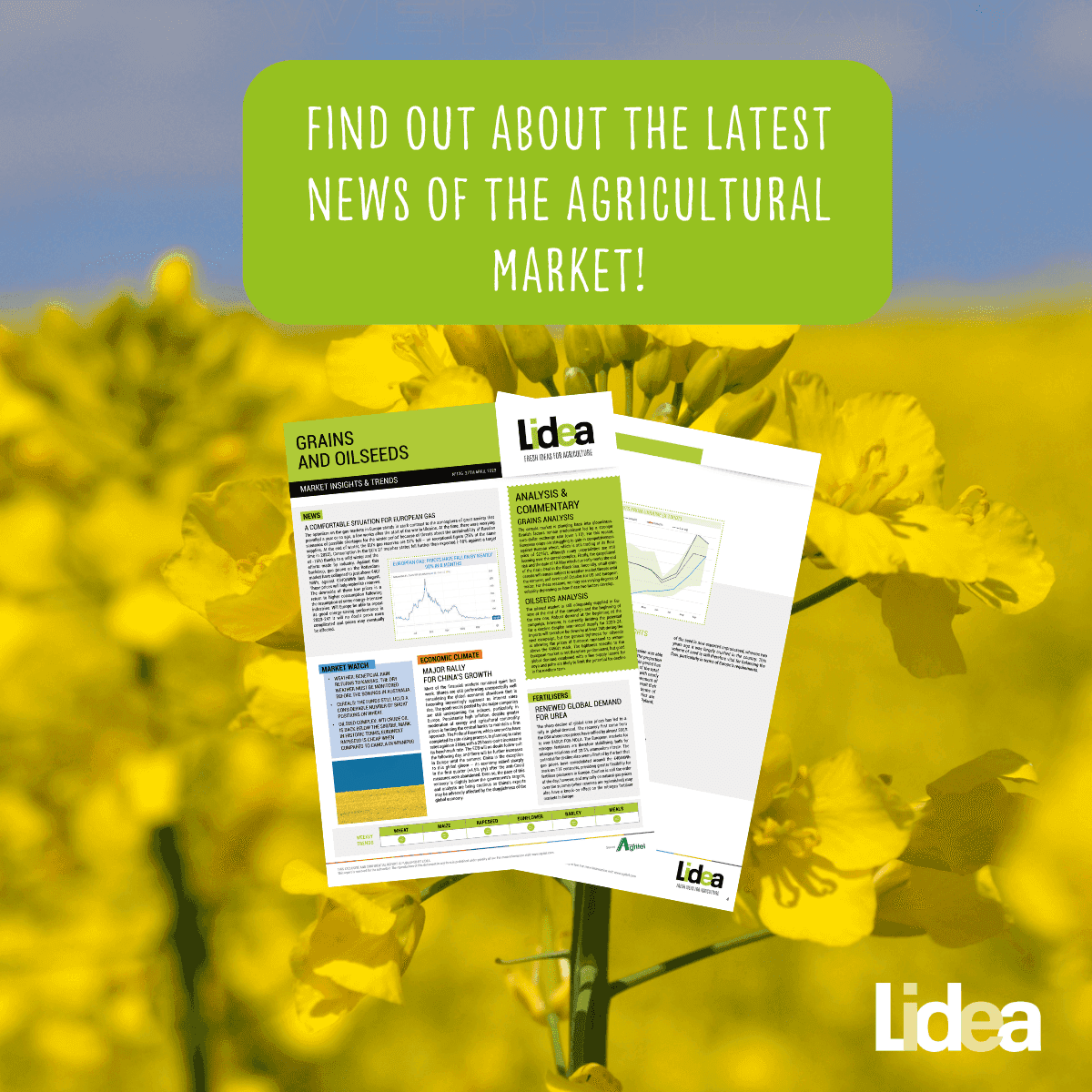 It's time to read about the agricultural market news