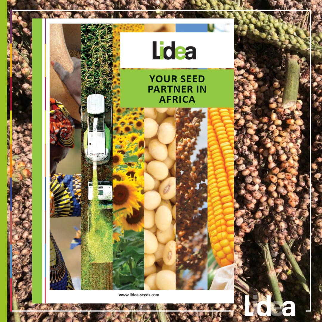 Discover Our New Brochure Tailored for the African Market!