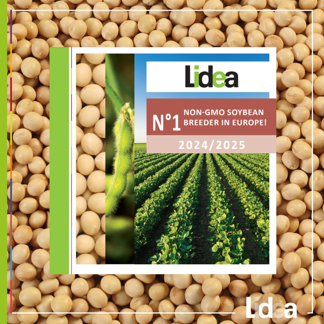 Lidea Soybean Catalogue 2025 – High-Performance Certified Seeds